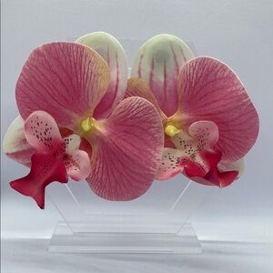 Cream and Pink Orchid-Inspired Earrings